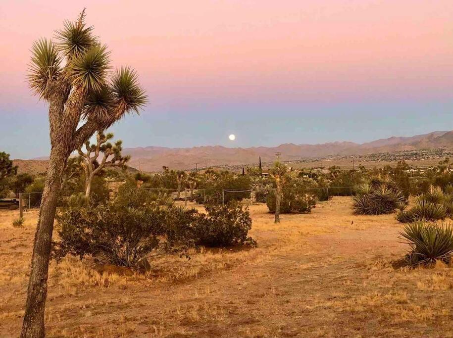 Desert Dreamer Yucca Valley Esterno foto